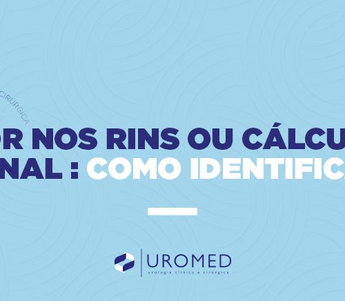 Dor nos rins ou cálculo renal: como identificar