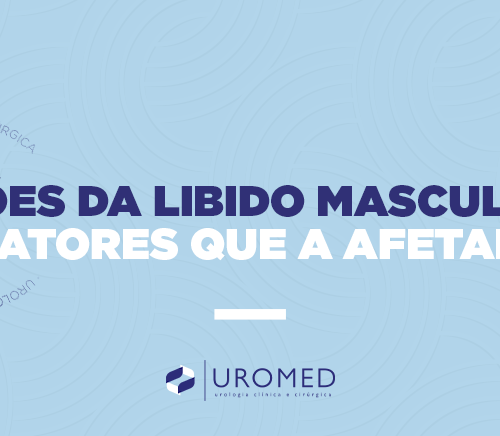 Vilões da Libido Masculina: Desvendando os Fatores que Afetam a Vitalidade