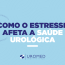 Como o Estresse Afeta a Saúde Urológica: Uma Visão Abrangente