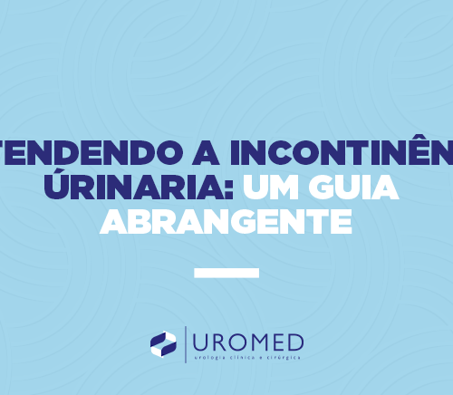 entendendo-a-incontinencia-urinaria-um-guia-abrangente